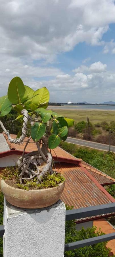Lake Edge Resort Anuradhapura Zewnętrze zdjęcie