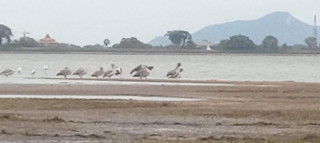 Lake Edge Resort Anuradhapura Zewnętrze zdjęcie